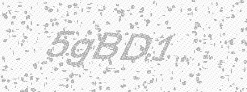 Example of a CAPTCHA